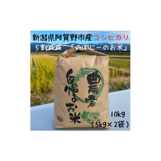 ふるさと納税 米 コシヒカリ 新潟県 阿賀野市 令和7年産新米 阿賀野市産 コシヒカリ 「のぼじーのお米」 100% 10kg (5kg×2袋) 5割減減 精米 白米 3J02030