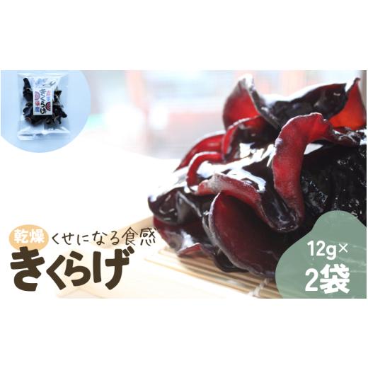 ふるさと納税 山菜・きのこ 岩手県 住田町 乾燥きくらげ 岩手県産 24g (12gx2個) / 国産 乾燥 きくらげ 中華料理 炒め物 栄養豊富 健康 きのこ おつまみ おか…