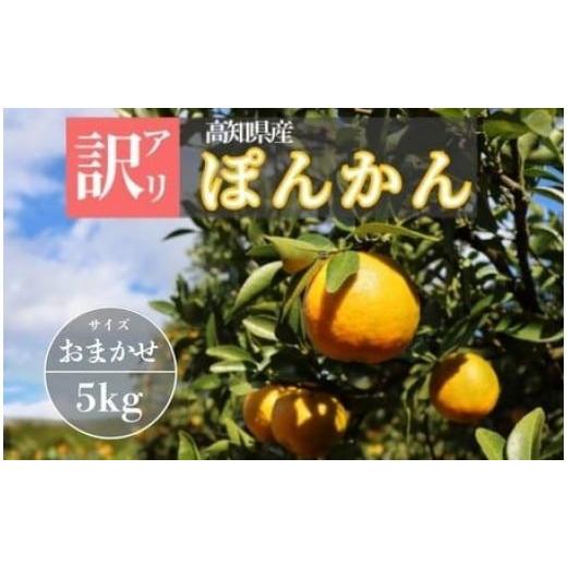 ふるさと納税 みかん・柑橘類 高知県 東洋町 徳村の訳ありぽんかん サイズおまかせ 5kg 国産 東洋町産 訳アリ 甘い コク ジューシー 果肉 高知県 東洋町 四国 …