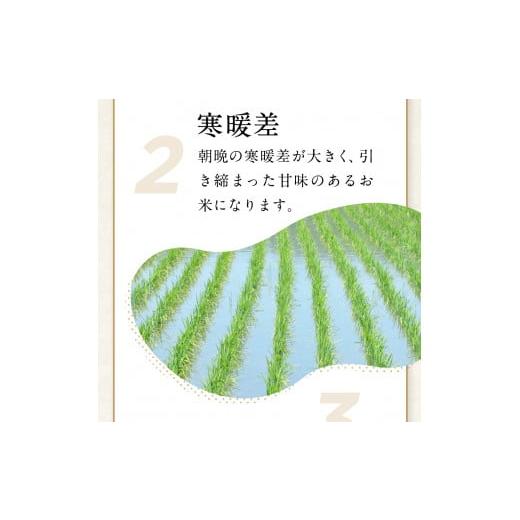米 10kg 岩手 ひとめぼれ 令和7年産 白米 岩手ふるさと米 5kg 小分け