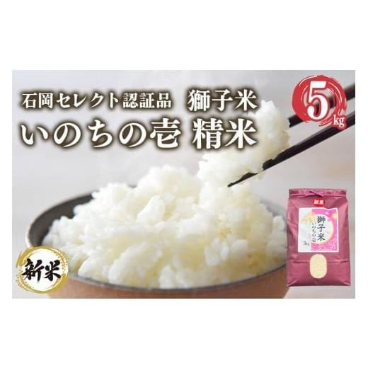ふるさと納税 米 茨城県 石岡市 2月発送 獅子米 いのちの壱 精米 5kg 岡田ファーム コンテスト受賞米 お米 白米 米 おこめ ブランド米 5キロ 国産 単一原料米…