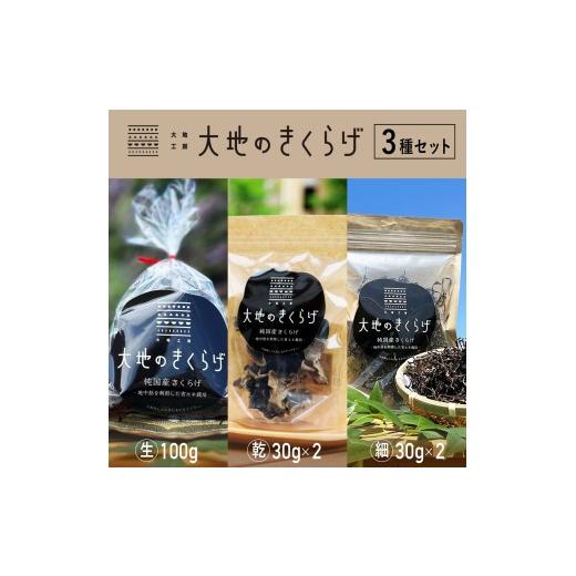 ふるさと納税 野菜類 きのこ 埼玉県 桶川市 国産きくらげ 3種セット 生きくらげ 100g×4 乾燥きくらげ 30g×2 細切カット 30g×2 大地のきくらげ | キクラゲ 3…_1
