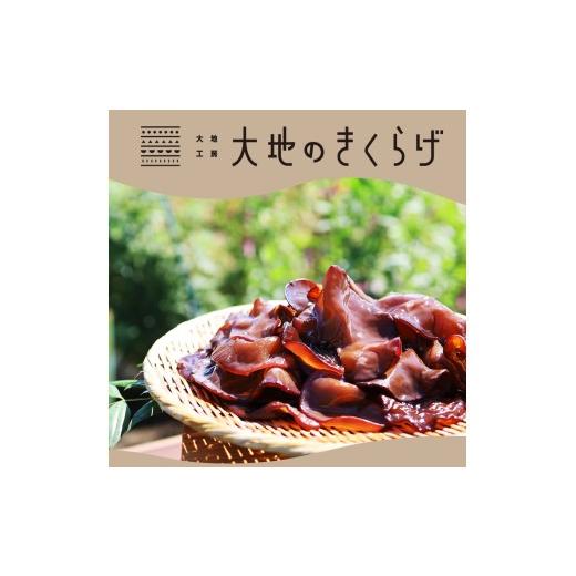 ふるさと納税 野菜類 きのこ 埼玉県 桶川市 国産きくらげ 3種セット 生きくらげ 100g×4 乾燥きくらげ 30g×2 細切カット 30g×2 大地のきくらげ | キクラゲ 3…_2