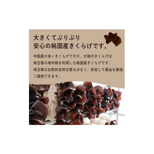 ふるさと納税 野菜類 きのこ 埼玉県 桶川市 国産きくらげ 3種セット 生きくらげ 100g×4 乾燥きくらげ 30g×2 細切カット 30g×2 大地のきくらげ | キクラゲ 3…_3