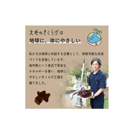 ふるさと納税 野菜類 きのこ 埼玉県 桶川市 国産きくらげ 3種セット 生きくらげ 100g×4 乾燥きくらげ 30g×2 細切カット 30g×2 大地のきくらげ | キクラゲ 3…_4