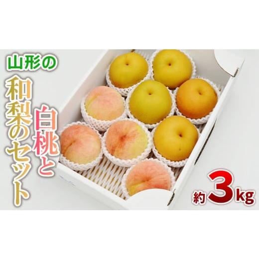 ふるさと納税 もも 山形県 山形市 白桃と和梨の詰合せ 秀品 約3kg(6〜12玉) 令和8年産先行予約 FS24-817 くだもの 果物 フルーツ 山形 山形県 山形市 2026年産の画像