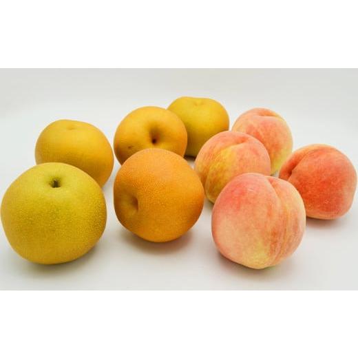 ふるさと納税 もも 山形県 山形市 白桃と和梨の詰合せ 秀品 約3kg(6〜12玉) 令和8年産先行予約 FS24-817 くだもの 果物 フルーツ 山形 山形県 山形市 2026年産の画像