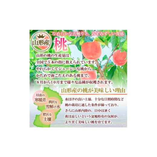 ふるさと納税 もも 山形県 山形市 白桃と和梨の詰合せ 秀品 約3kg(6〜12玉) 令和8年産先行予約 FS24-817 くだもの 果物 フルーツ 山形 山形県 山形市 2026年産の画像