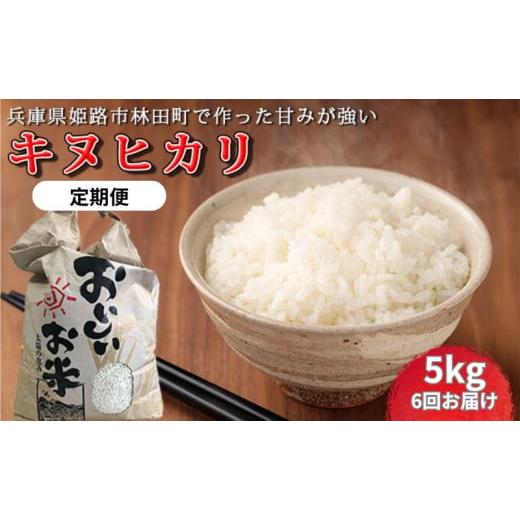 ふるさと納税 米 兵庫県 姫路市   令和7年産新米 &lt;10月初旬以降発送予定&gt;定期便6回お届けきぬひかり5キロ 兵庫県姫路市産 新米 白米 米 お…