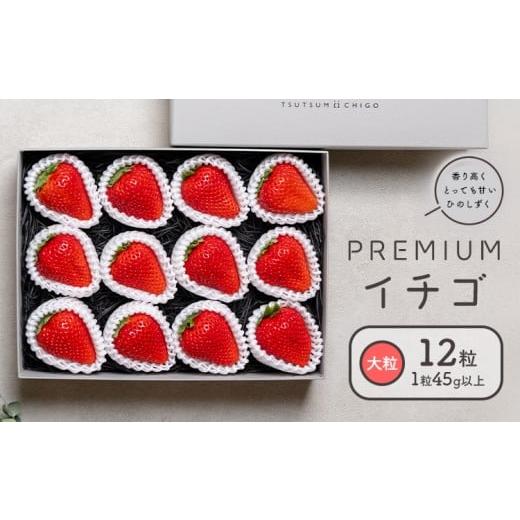 ふるさと納税 いちご 熊本県 菊池市 PREMIUMイチゴ ひのしずく 約45g×12玉 いちご イチゴ 苺[2026年2月発送予定]ヴァリアス株式会社 果物 くだもの フルー…