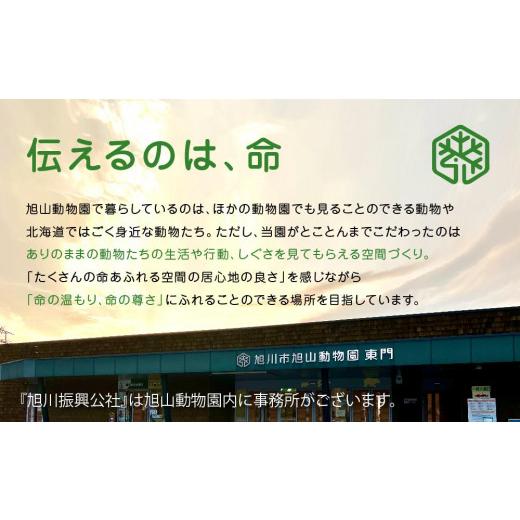 ふるさと納税 食器・グラス マグカップ 北海道 旭川市 マグカップ ホッキョクグマ2022 旭山動物園 公式 グッズ カップ 日用品 北海道 旭川 _04590の画像