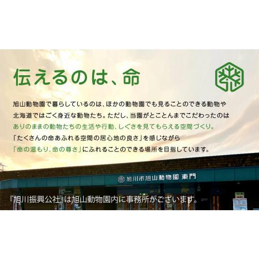 ふるさと納税 食器・グラス マグカップ 北海道 旭川市 マグカップ レッサー2022 旭山動物園 公式 グッズ カップ 日用品 北海道 旭川 _04594の画像