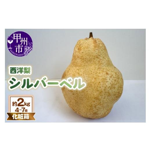 ふるさと納税 梨 山梨県 甲州市 童夢の西洋梨「シルバーベル」化粧箱 約2kg(4〜7個) 2025年発送 (DOM