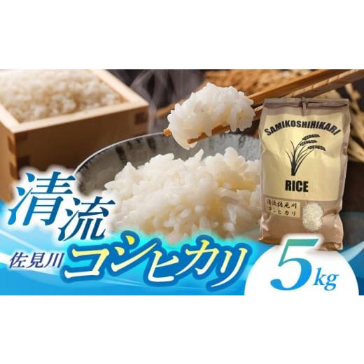 ふるさと納税 米 コシヒカリ 岐阜県 白川町 R7年度産 米 コシヒカリ 5kg 1袋 清流 佐見川 岐阜県産 こだわり ギフト 白飯 お米 おこめ お米 こめ コメ こしひ…
