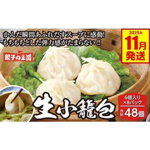 ふるさと納税 肉 熊本県 八代市 生小籠包 48個 餃子の王国 (小籠包 八代市産生姜使用) 小分け おかず 点心 中華 惣菜 小籠包 しょうが ショウガ お肉 豚肉 …