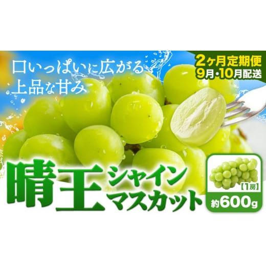 ふるさと納税 ぶどう マスカット 岡山県 浅口市 シャインマスカット 晴王 定期便シャインマスカット 2ヶ月定期便 ぶどう シャインマスカット 晴王 600g 1房 マ…