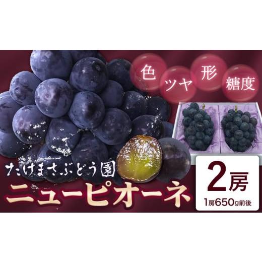 ふるさと納税 果物類 ぶどう 岡山県 浅口市 2026年先行予約 ぶどう ニューピオーネ 2房(1房650g前後) たけまさぶどう園 [2026年7月中旬-10月上旬頃出荷]岡…