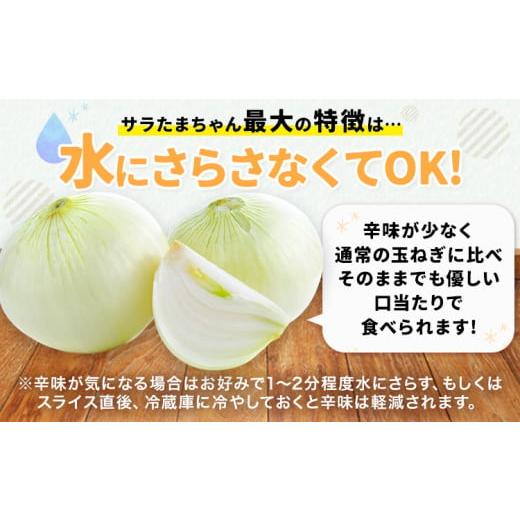 ふるさと納税 野菜類 玉ねぎ 熊本県 津奈木町  先行予約 訳あり サラたまちゃん 新玉ねぎ 10kg 《2026年4月中旬~5月末頃出荷》熊本県 葦北郡 津奈木町 野菜 た…の画像