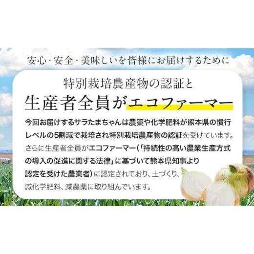 ふるさと納税 野菜類 玉ねぎ 熊本県 津奈木町  先行予約 訳あり サラたまちゃん 新玉ねぎ 10kg 《2026年4月中旬~5月末頃出荷》熊本県 葦北郡 津奈木町 野菜 た…の画像
