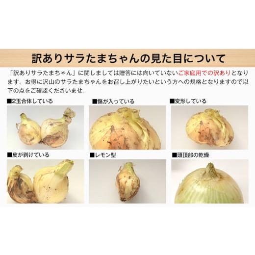 ふるさと納税 野菜類 玉ねぎ 熊本県 津奈木町  先行予約 訳あり サラたまちゃん 新玉ねぎ 10kg 《2026年4月中旬~5月末頃出荷》熊本県 葦北郡 津奈木町 野菜 た…の画像