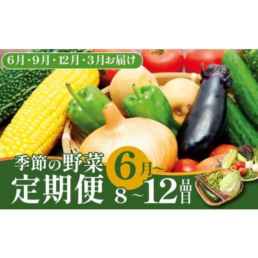 ふるさと納税 セット・詰合せ 新潟県 新発田市 6月開始 野菜定期便 年4回 8〜12種類 数量限定 野菜 定期便 セット 詰め合わせ 旬 おまかせ 野菜BOX 詰め合わ…