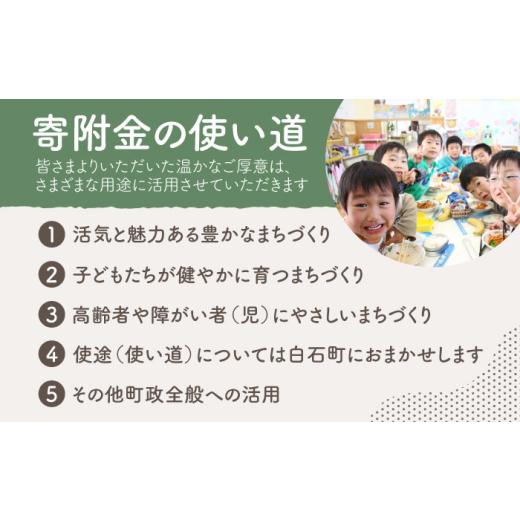ふるさと納税 アウトドアグッズ 佐賀県 白石町  アウトドアに最適 6回定期便 佐賀県産 杉 乾燥 薪 約18kg（8〜9kg×2箱） 黒岩木材 白石 IBU015の画像