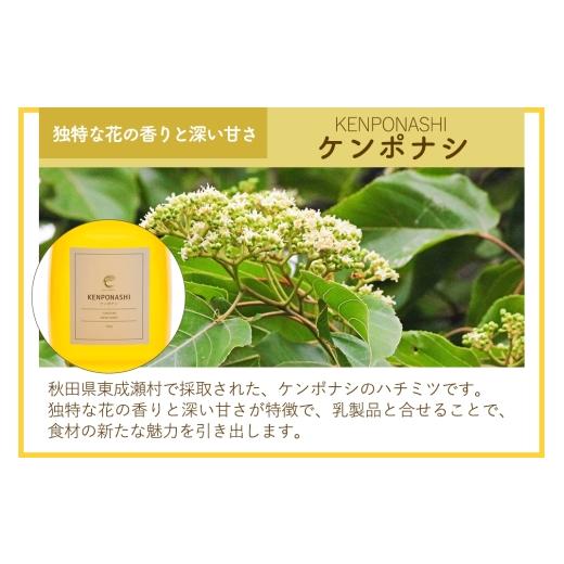 ふるさと納税 加工品等 はちみつ 秋田県 東成瀬村 はちみつ3個セット（E.NARUSE・KENPONASHI・MARRONNIER プラスチックボトル）300g×各1個 計3個の画像