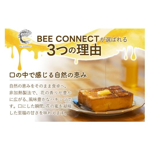 ふるさと納税 加工品等 はちみつ 秋田県 東成瀬村 はちみつ3個セット（E.NARUSE・KENPONASHI・MARRONNIER プラスチックボトル）300g×各1個 計3個の画像