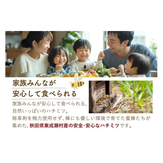 ふるさと納税 加工品等 はちみつ 秋田県 東成瀬村 はちみつ3個セット（E.NARUSE・KENPONASHI・MARRONNIER プラスチックボトル）300g×各1個 計3個の画像