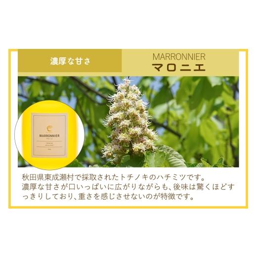 ふるさと納税 加工品等 はちみつ 秋田県 東成瀬村 はちみつ3個セット（E.NARUSE・KURI＋・MARRONNIER プラスチックボトル）300g×各1個 計3個の画像