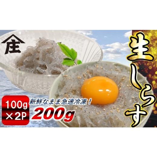 ふるさと納税 魚貝類 しらす 愛知県 南知多町 生しらす 200g ( 100g × 2袋 ) 冷凍 刺身 真空パック ごはん 丼 サラダ 魚 料理 愛知県 南知多町 師崎 シラス …