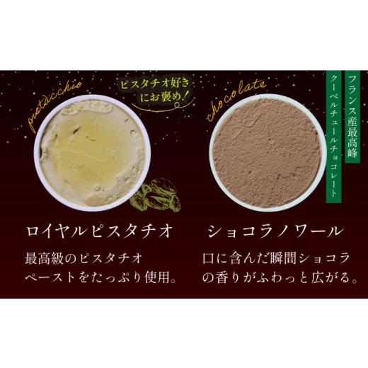 ふるさと納税 菓子 アイス 長崎県 - 長崎アイス Dr.+Gelato ジェラート12個セット 長崎県／株式会社夜のジェラート 42AACK002 ジェラート アイス アイスクリー…の画像