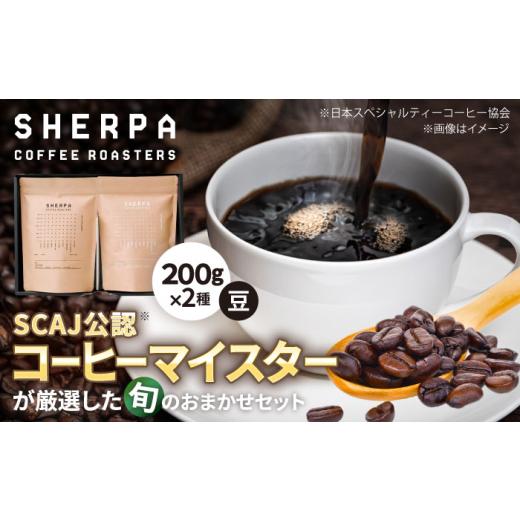 ふるさと納税 コーヒー 飲料 岐阜県 岐阜市 コーヒー豆 SHERPA COFFEE ROASTERS 季節のおすすめおまかせセット 200g×2パック?飲料類 飲み物 ドリンク 珈琲 コ…
