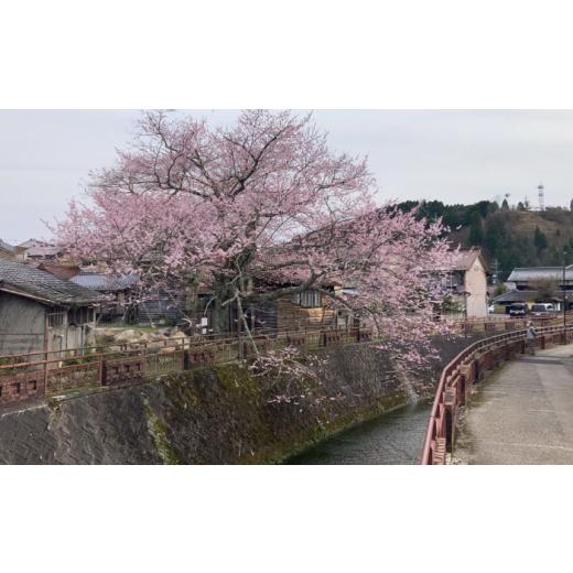 ふるさと納税 アウトドアグッズ 岐阜県 恵那市  4回定期便 岐阜県産 薪 10kg ナラ ミックス ／ 薪 ナラミックス 広葉樹 焚き火 薪ストーブ 燃料 まき マキ 乾…_8