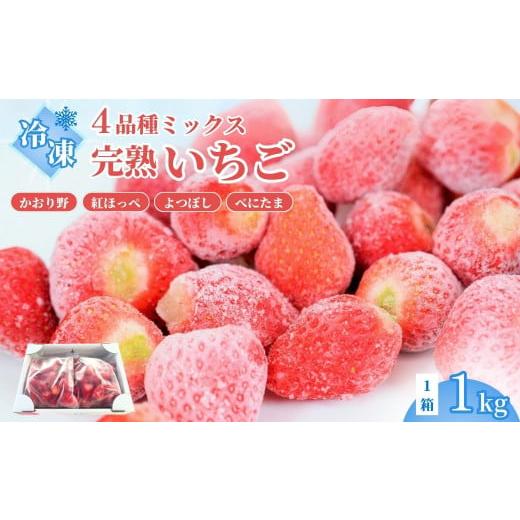 ふるさと納税 いちご 埼玉県 久喜市 いちご 冷凍いちご 1kg | いちご 冷凍 先行予約 イチゴ 苺 ストロベリー ベリー 食べ比べ 果物 くだもの フルーツ 野菜 美…
