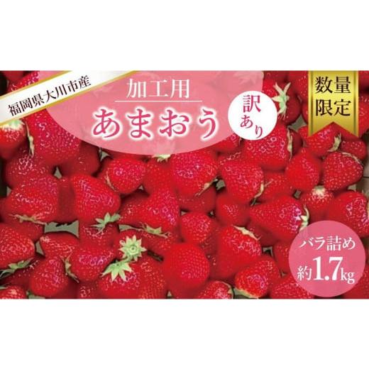 ふるさと納税 いちご 福岡県 大川市 2026年5月以降順次発送 訳あり加工用あまおういちご バラ詰め福岡県産 たっぷり約1.7kg 配送不可:北海道、沖縄県、離島