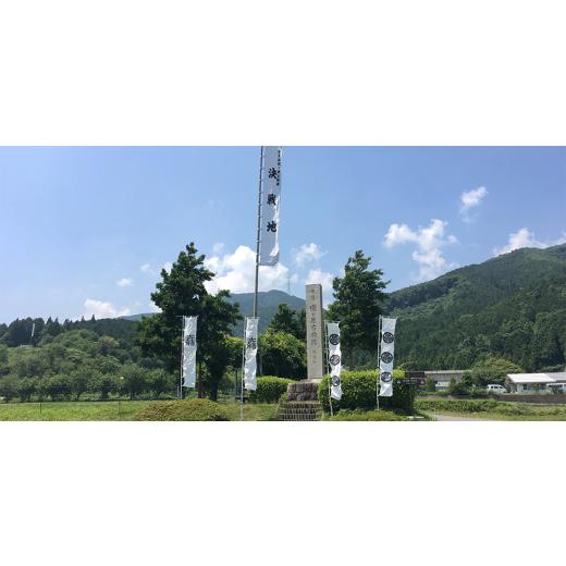 ふるさと納税 うなぎ 岐阜県 関ケ原町 毎月定期便 三河一色産 備長炭手焼き 魚しげのこだわりのうなぎ 蒲焼 2切れ×3パック全12回 4062575_5