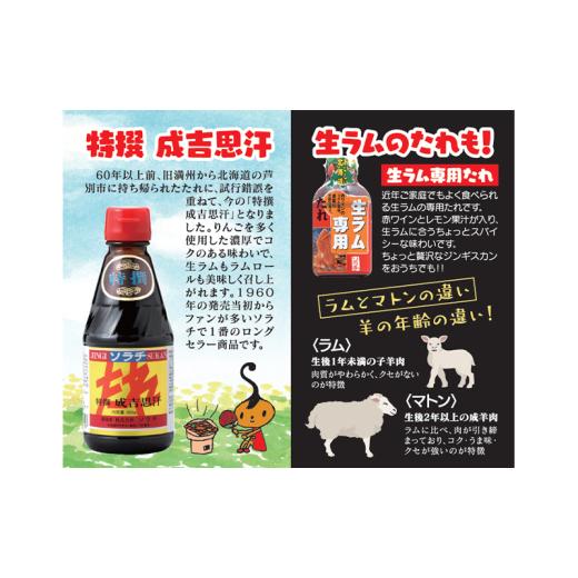 ふるさと納税 調味料・油 たれ 北海道 芦別市  総やか 24本 ソラチ 特撰ジンギスカンのたれ 250g 24本 たれ タレ 成吉思汗 ジンギスカン まとめ買い 総やか No.534…
