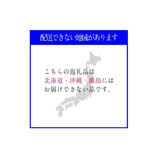 ふるさと納税 ぶどう マスカット 岡山県 瀬戸内市 2026年先行予約 プレミアムシャインマスカット晴王 1房約750g 人気 岡山県産 赤秀品 種無し 皮ごと食べる み…の画像
