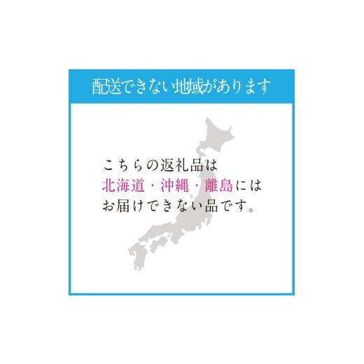 ふるさと納税 ぶどう マスカット 岡山県 瀬戸内市 2026年 先行予約受付中 シャインマスカット晴王 2房 約1.3kg 岡山県産 種無し 皮ごと食べる みずみずしい 甘…の画像