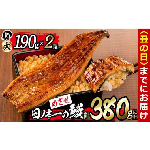 ふるさと納税 うなぎ 鹿児島県 志布志市 丑の日までに配送 日ノ本一の鰻の蒲焼き 大 2尾(計380g以上) b1-018-us 丑の日配送 2尾セット計380g (190g×2) 2026…