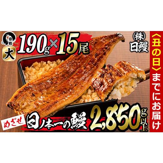 ふるさと納税 うなぎ 鹿児島県 志布志市 丑の日までに配送 日ノ本一の鰻の蒲焼き 大 計15尾セット(計2,850g以上) wa24-006-us 丑の日配送 15尾セット計2850g(…