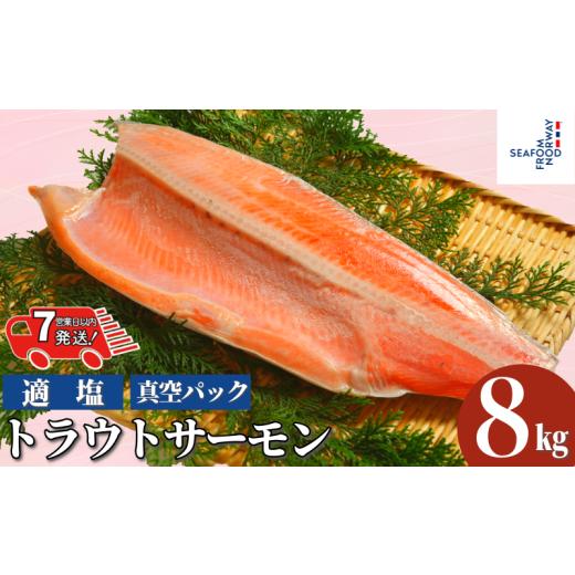 ふるさと納税 魚貝類 サーモン 千葉県 銚子市 スピード配送 サーモン 8kg 真空パック 鮭 さけ しゃけ 人気 おすすめ 冷凍 大容量 ふるさと納税サーモン ふる…