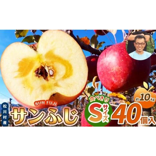 ふるさと納税 りんご 長野県 松川村 サンふじ 食べきりSサイズ 40個入り 約10kg 2026年先行予約 | 北條農園 リンゴ りんご 林檎 果物 フルーツ 果実 果汁 サ…
