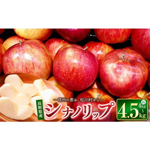 ふるさと納税 りんご 長野県 松川村 2026年先行予約 シナノリップ 約4kg〜4.5kg | 東印平林農園 リンゴ りんご 林檎 果物 くだもの フルーツ 果実 果汁 シナ…