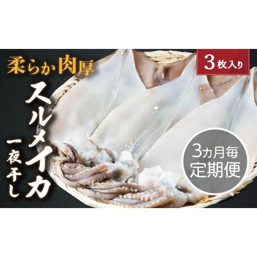 ふるさと納税 干物 いか 京都府 宮津市  3ヵ月毎定期便 全4回 日本海産 もの柔らか肉厚のスルメいか一夜干し(大)3枚  魚軟体動物 いか いか スルメいか お酒 つまみ …