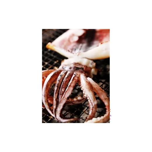 ふるさと納税 干物 いか 京都府 宮津市  3ヵ月毎定期便 全4回 日本海産 もの柔らか肉厚のスルメいか一夜干し(大)3枚  魚軟体動物 いか いか スルメいか お酒 つまみ …