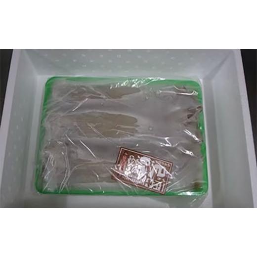 ふるさと納税 干物 いか 京都府 宮津市  3ヵ月毎定期便 全4回 日本海産 もの柔らか肉厚のスルメいか一夜干し(大)3枚  魚軟体動物 いか いか スルメいか お酒 つまみ …