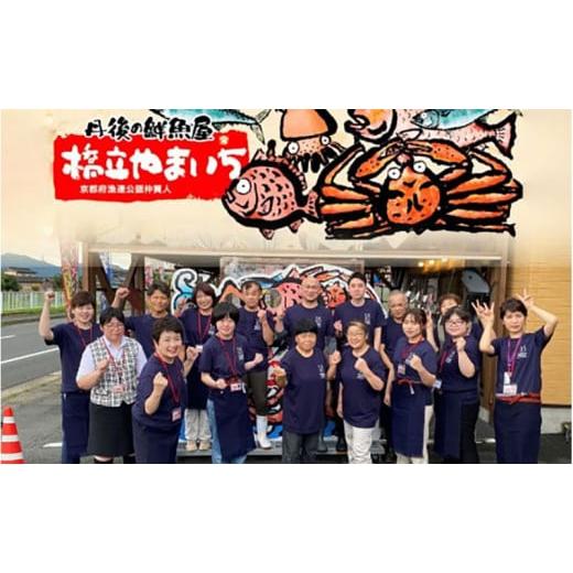 ふるさと納税 干物 いか 京都府 宮津市  3ヵ月毎定期便 全4回 日本海産 もの柔らか肉厚のスルメいか一夜干し(大)3枚  魚軟体動物 いか いか スルメいか お酒 つまみ …
