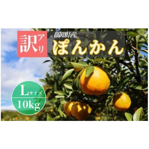 ふるさと納税 みかん・柑橘類 高知県 東洋町 TM004-3 徳村の訳アリぽんかん Lサイズ 10kg 国産 東洋町産 甘い コク ジューシー 果肉 高知県 東洋町 四国 お取…